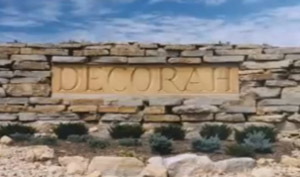 Decorah Summer Project